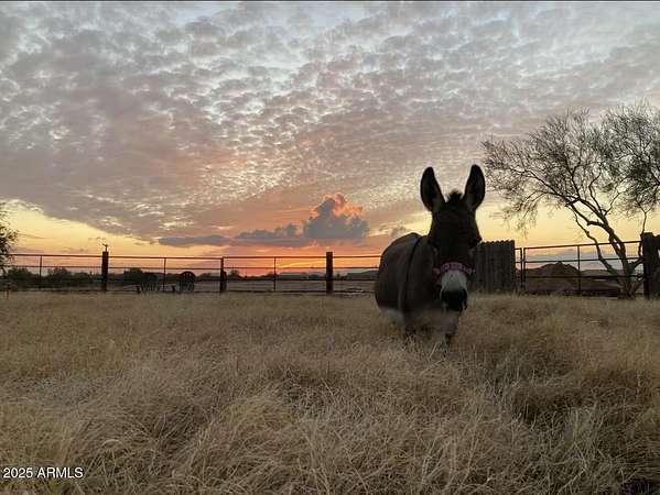 2.5 Acres of Residential Land with Home for Lease in Cave Creek, Arizona