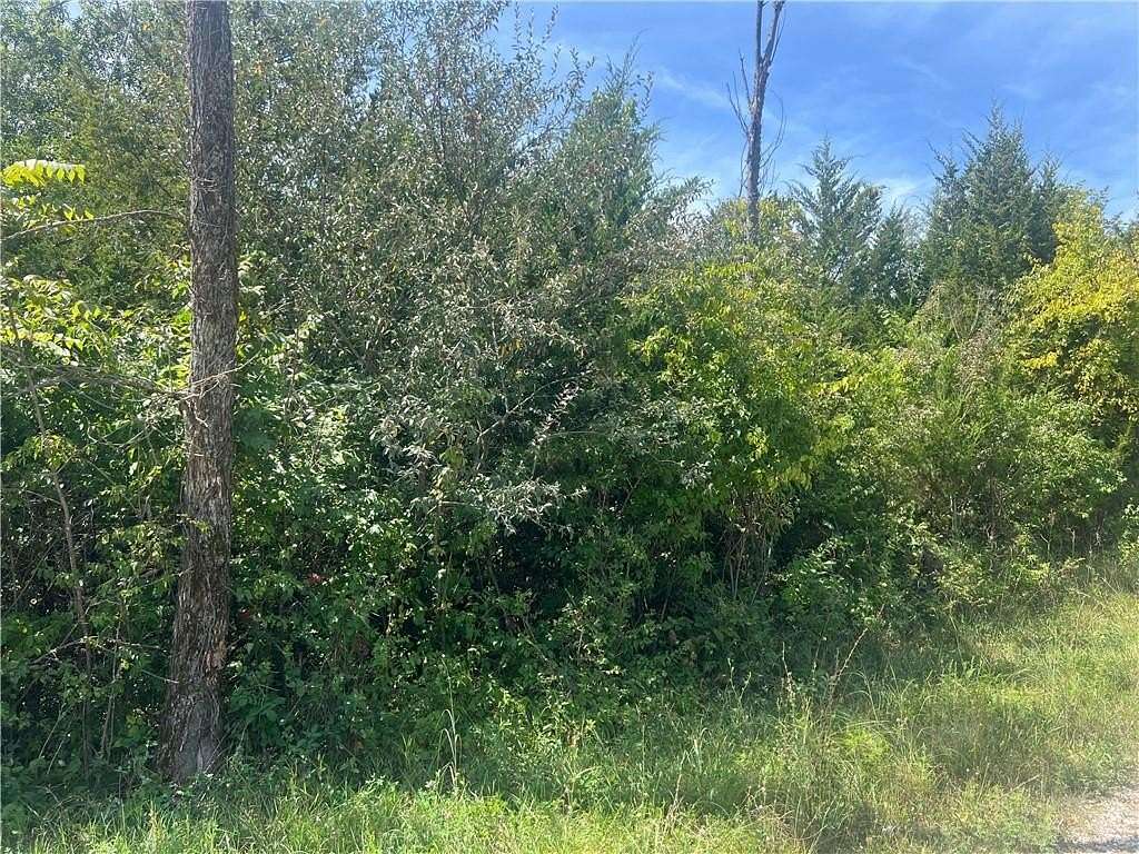 0.46 Acres of Residential Land for Sale in Excelsior Springs, Missouri