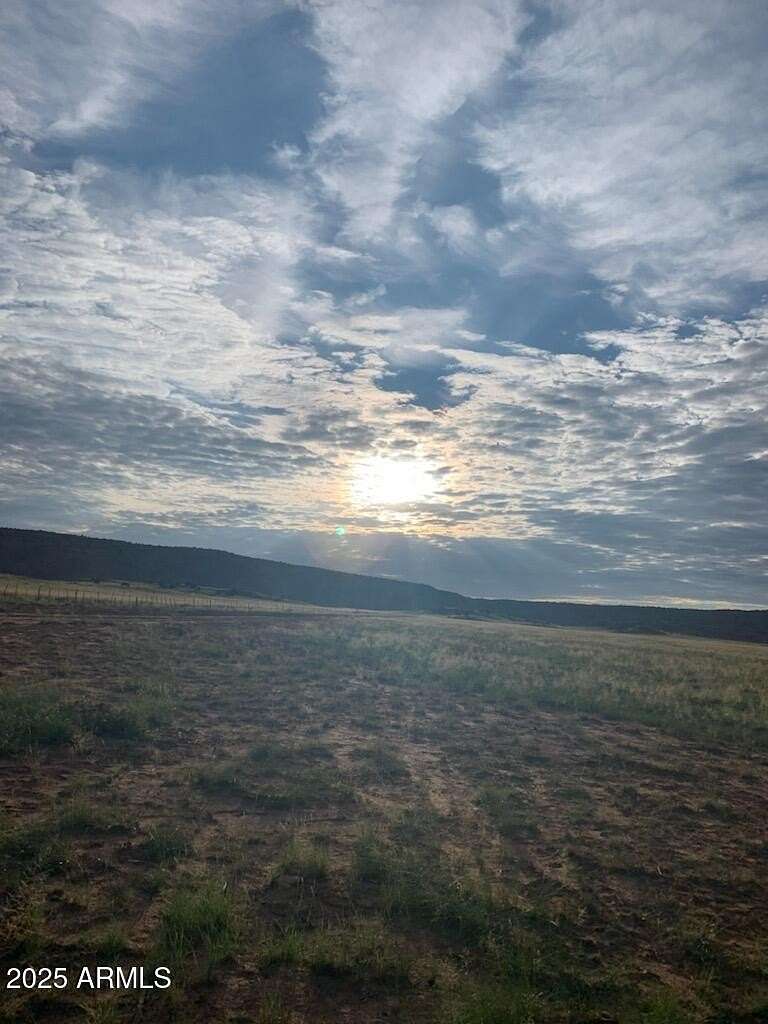 41.2 Acres of Land for Sale in St. Johns, Arizona