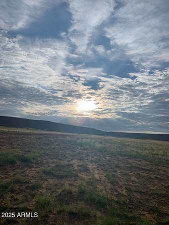 41.2 Acres of Land for Sale in St. Johns, Arizona