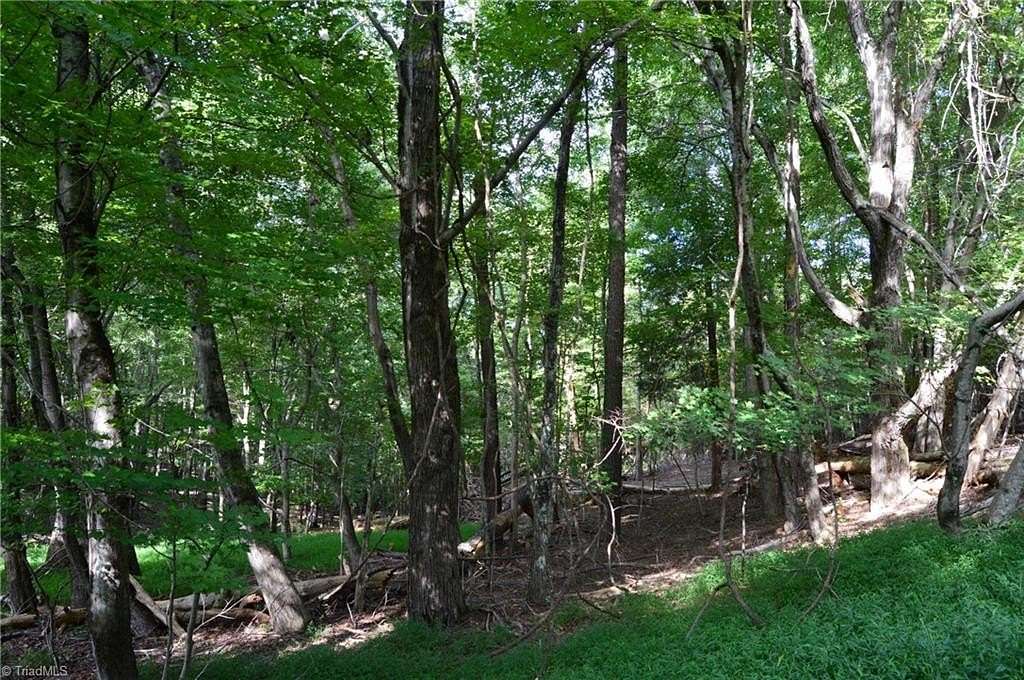 11.4 Acres of Land for Sale in Danbury, North Carolina