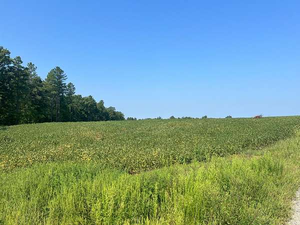 30 Acres of Land for Auction in Louisa, Virginia