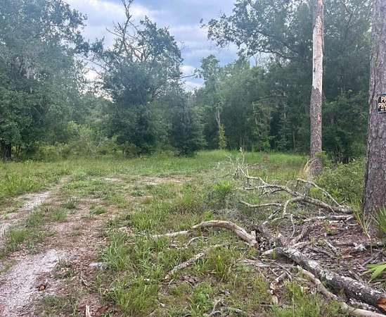 1.42 Acres of Residential Land for Sale in Dunnellon, Florida