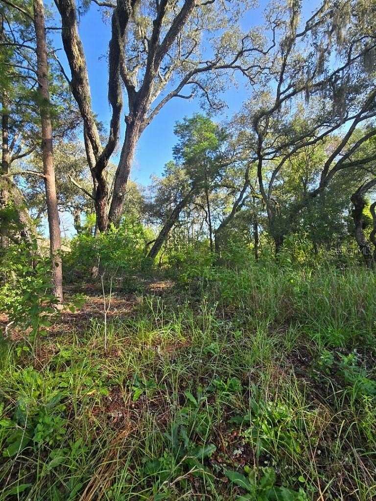 2 Acres of Residential Land for Sale in Hudson, Florida