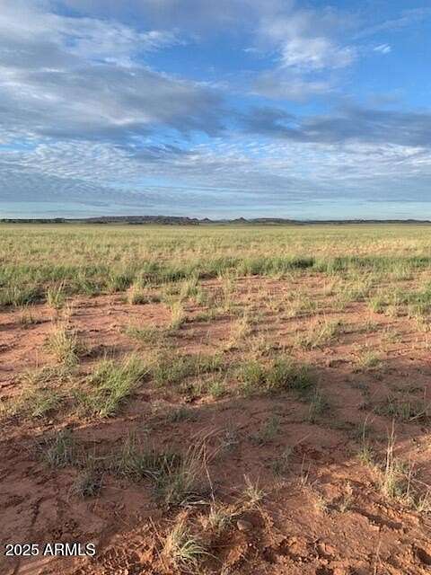 45.7 Acres of Land for Sale in St. Johns, Arizona