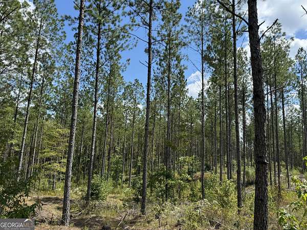 16 Acres of Recreational Land for Sale in Franklin, Georgia