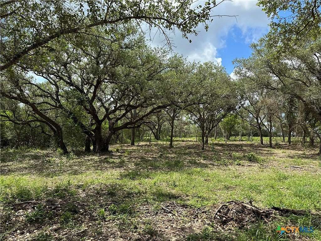 11 Acres of Land for Sale in Goliad, Texas