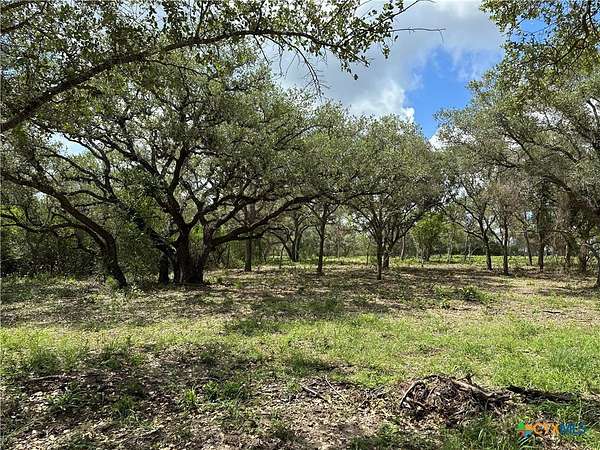11 Acres of Land for Sale in Goliad, Texas