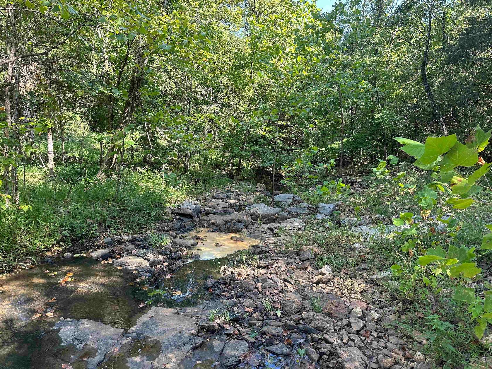 95 Acres of Land for Sale in Hardy, Arkansas