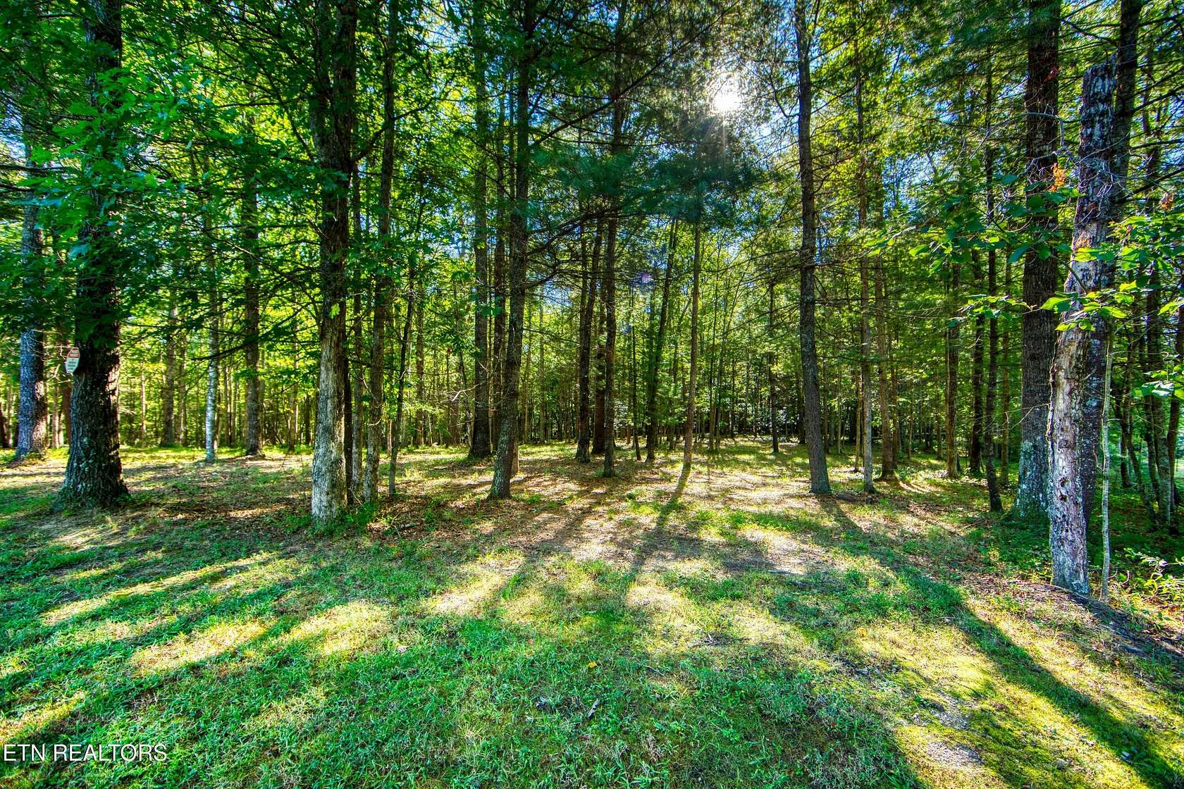 8.83 Acres of Land for Sale in Jamestown, Tennessee