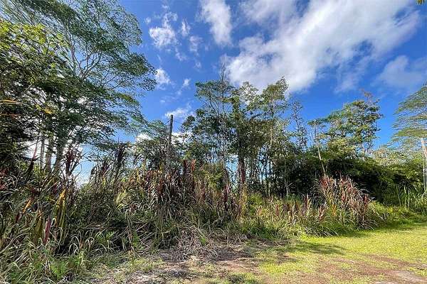 0.25 Acres of Land for Sale in Pahoa, Hawaii