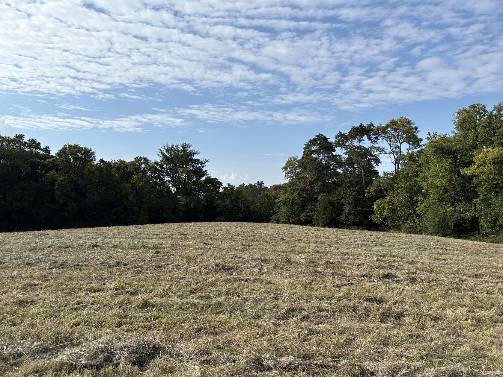 8.1 Acres of Land for Sale in Lewisburg, Tennessee