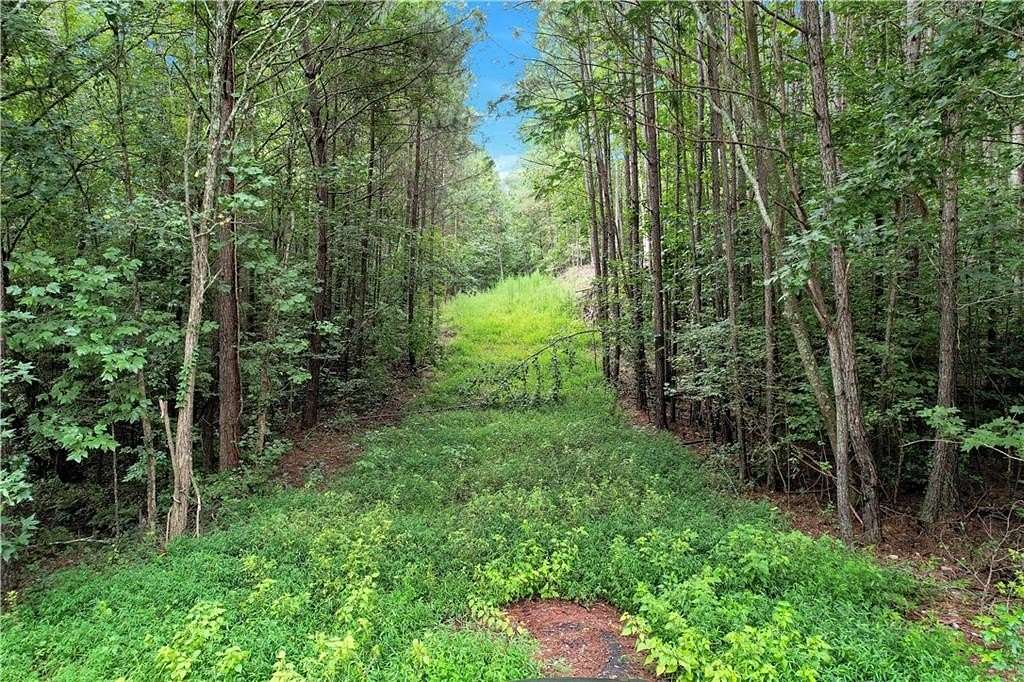 3 Acres of Residential Land for Sale in Douglasville, Georgia