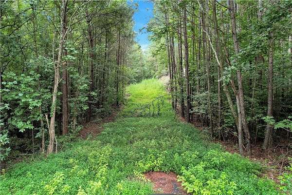 3 Acres of Residential Land for Sale in Douglasville, Georgia