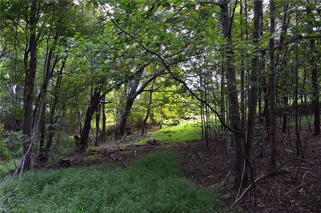10.8 Acres of Land for Sale in Danbury, North Carolina