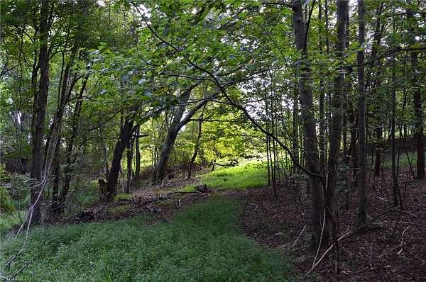 10.8 Acres of Land for Sale in Danbury, North Carolina