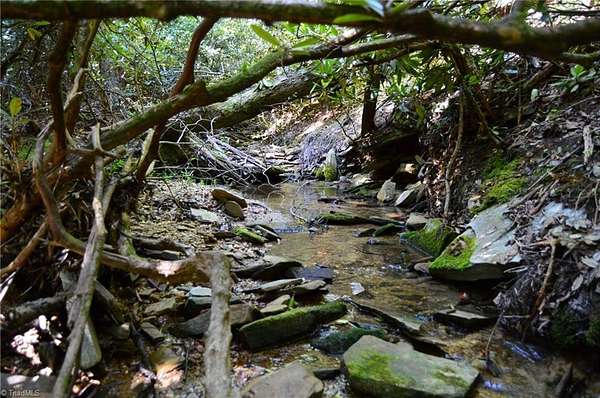 21 Acres of Land for Sale in Danbury, North Carolina