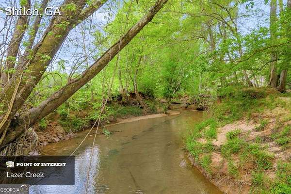 426 Acres of Land for Sale in Shiloh, Georgia