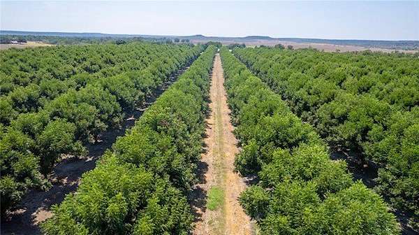 105 Acres of Land for Sale in San Saba, Texas