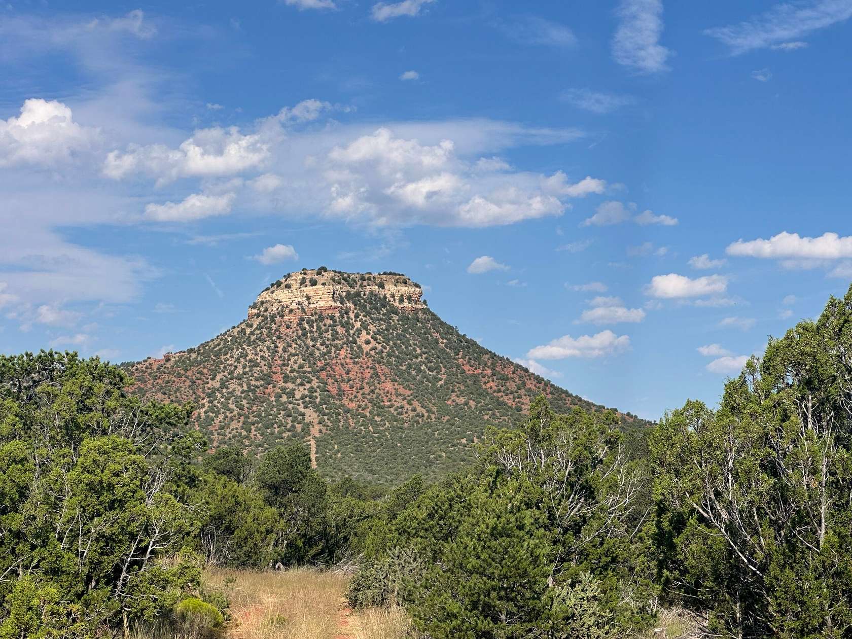 120 Acres of Recreational Land for Sale in Bernal, New Mexico