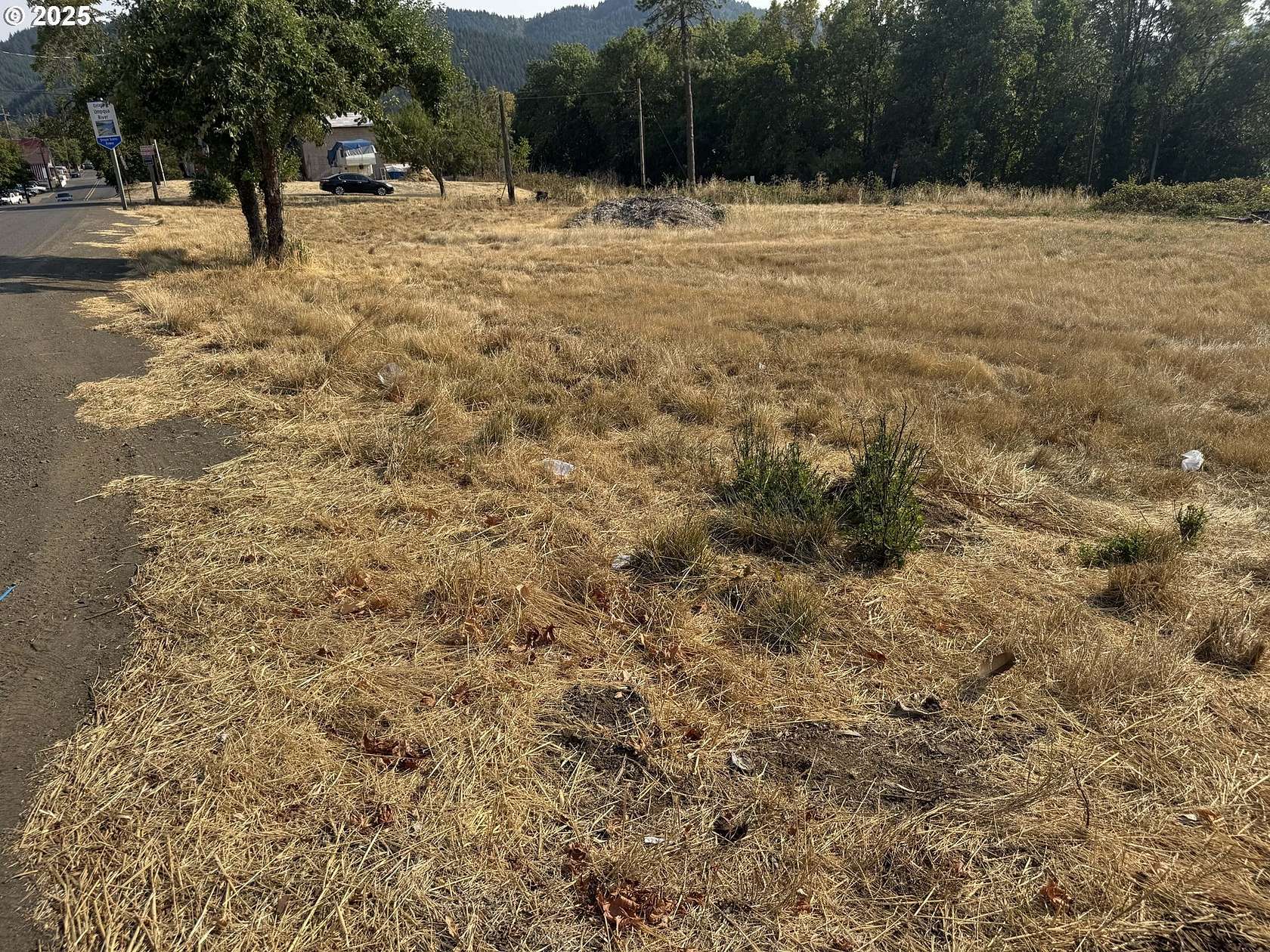 0.46 Acres of Land for Sale in Oakland, Oregon