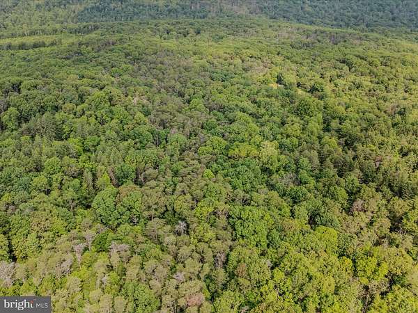 63.7 Acres of Recreational Land for Sale in Hedgesville, West Virginia