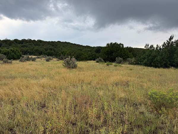 35 Acres of Land for Sale in Walsenburg, Colorado