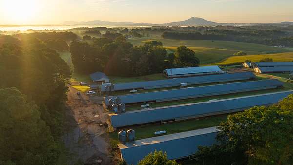 15.6 Acres of Land with Home for Sale in Ararat, North Carolina