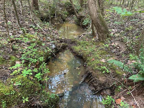4.4 Acres of Land for Sale in Clover, Virginia