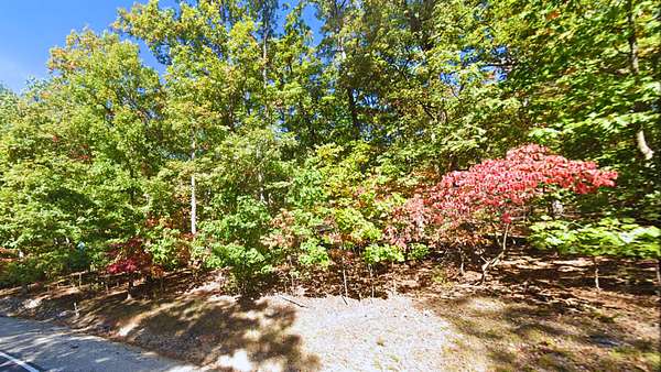 0.37 Acres of Residential Land for Sale in Village of Four Seasons, Missouri