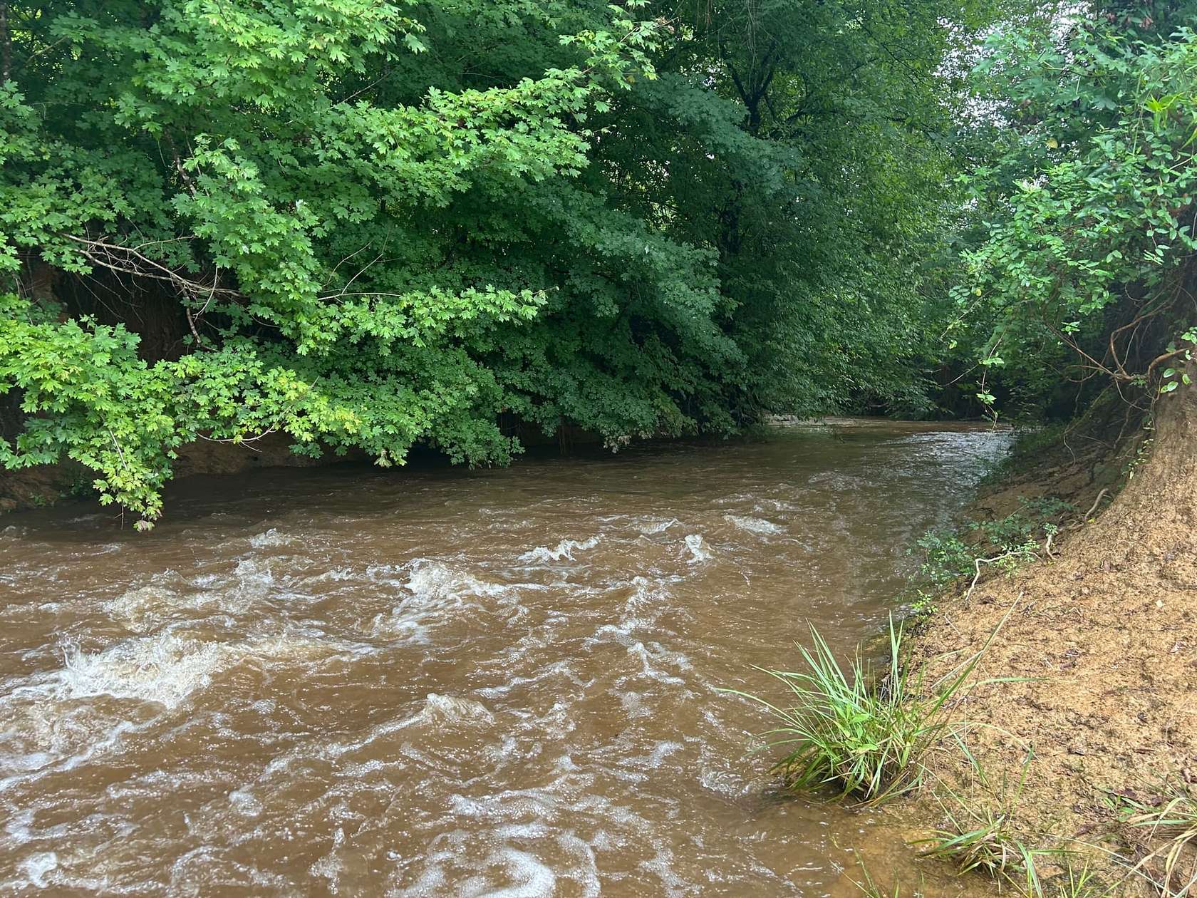 124 Acres of Recreational Land & Farm for Sale in Culloden, Georgia