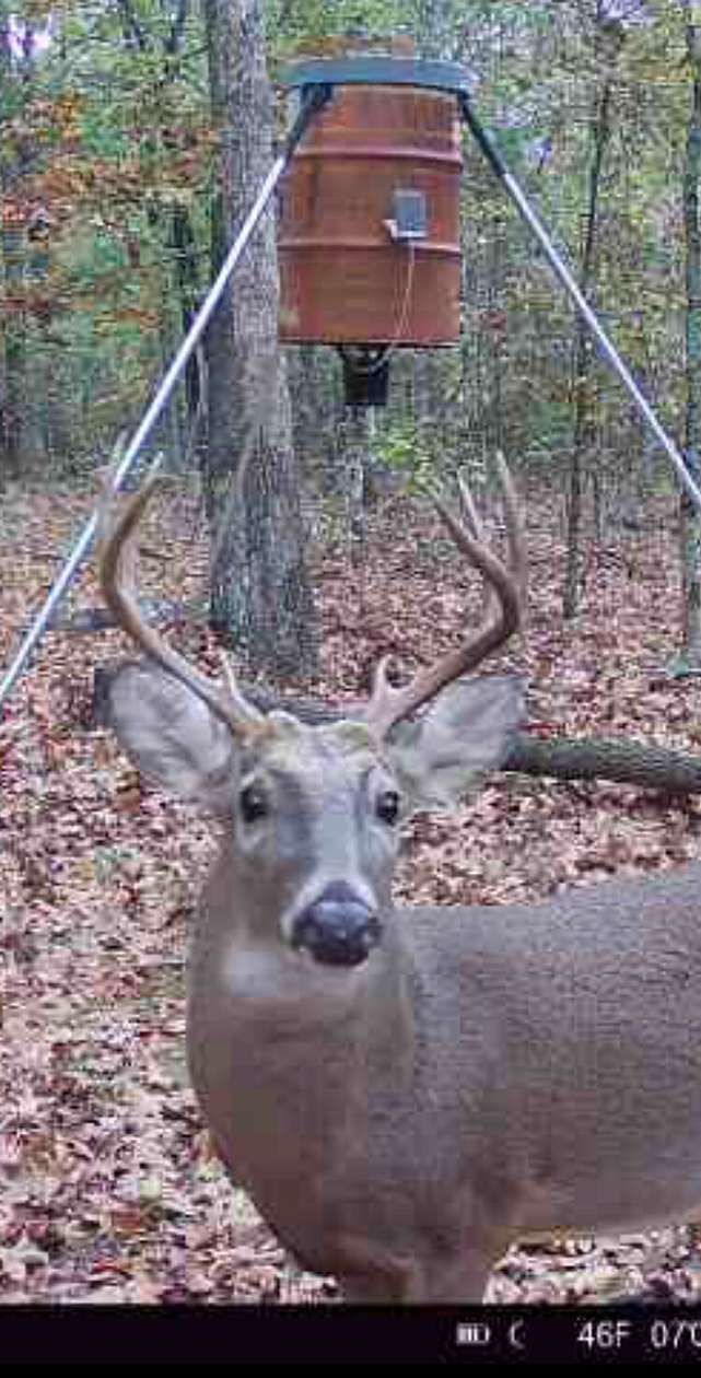 15 Acres of Recreational Land for Sale in Bradford, Arkansas