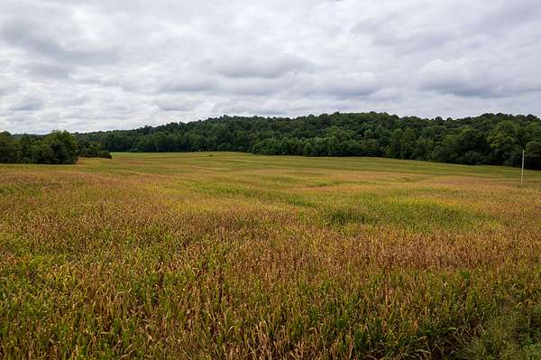 96 Acres of Land with Home for Sale in Olaton, Kentucky