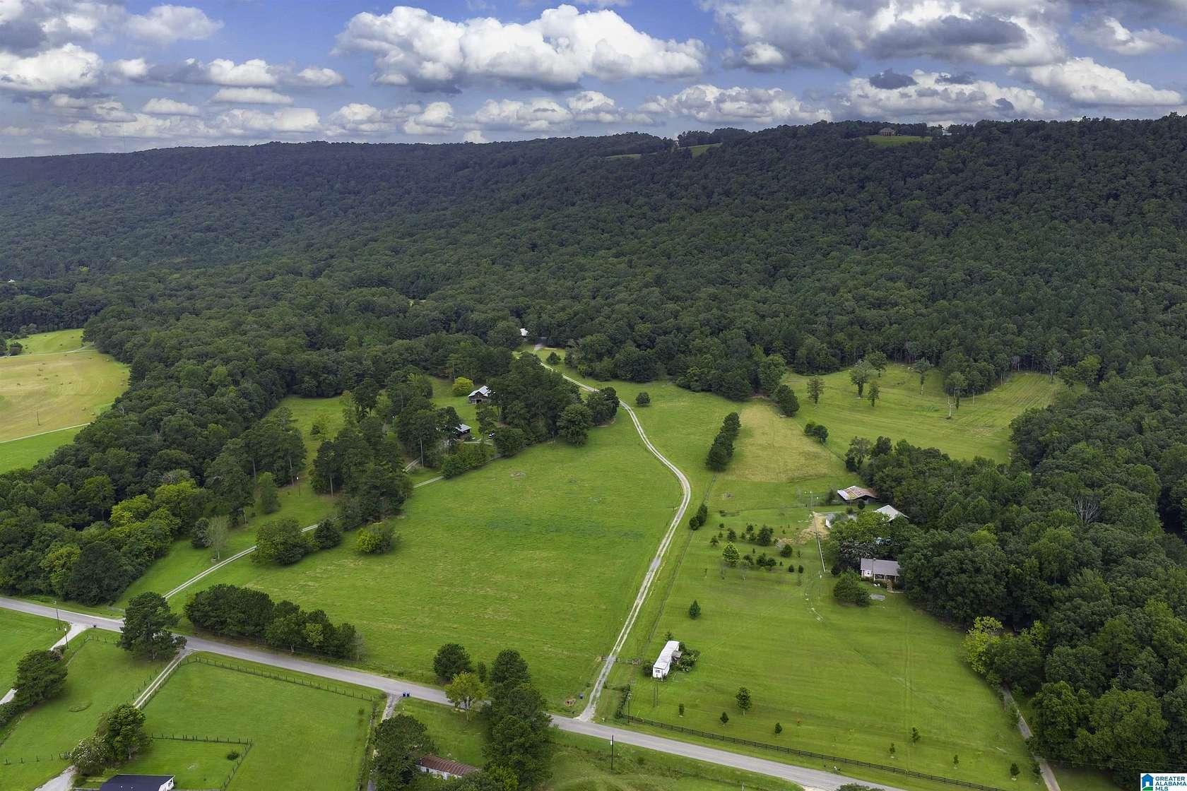 65.2 Acres of Land with Home for Sale in Springville, Alabama