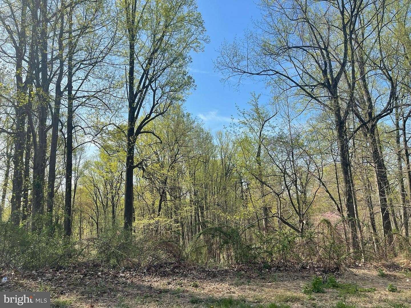 2.44 Acres of Residential Land for Sale in Randallstown, Maryland