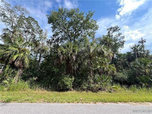 0.47 Acres of Residential Land for Sale in Homosassa, Florida