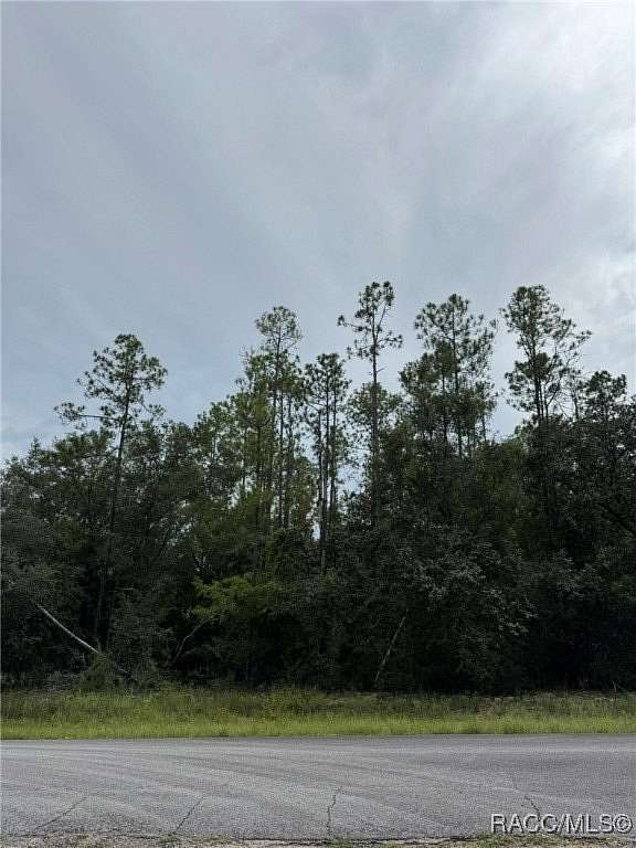 0.41 Acres of Residential Land for Sale in Citrus Springs, Florida