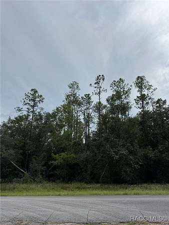 0.41 Acres of Residential Land for Sale in Citrus Springs, Florida