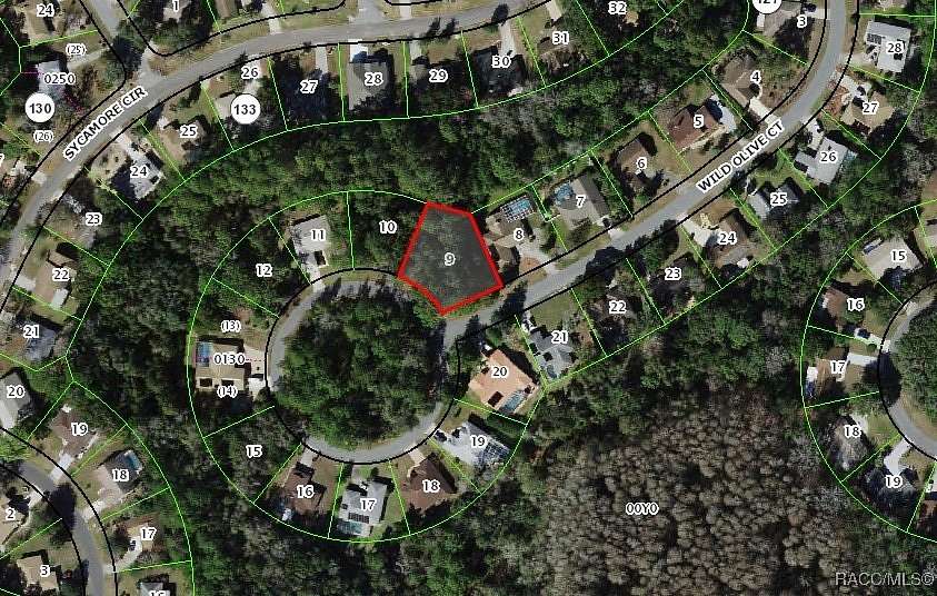 0.36 Acres of Residential Land for Sale in Homosassa, Florida