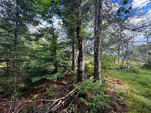 12 Acres of Recreational Land for Sale in Ohio, New York