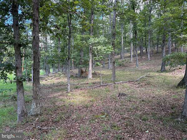 20.3 Acres of Recreational Land for Sale in Moorefield, West Virginia