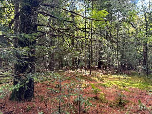 12 Acres of Recreational Land for Sale in Ohio, New York