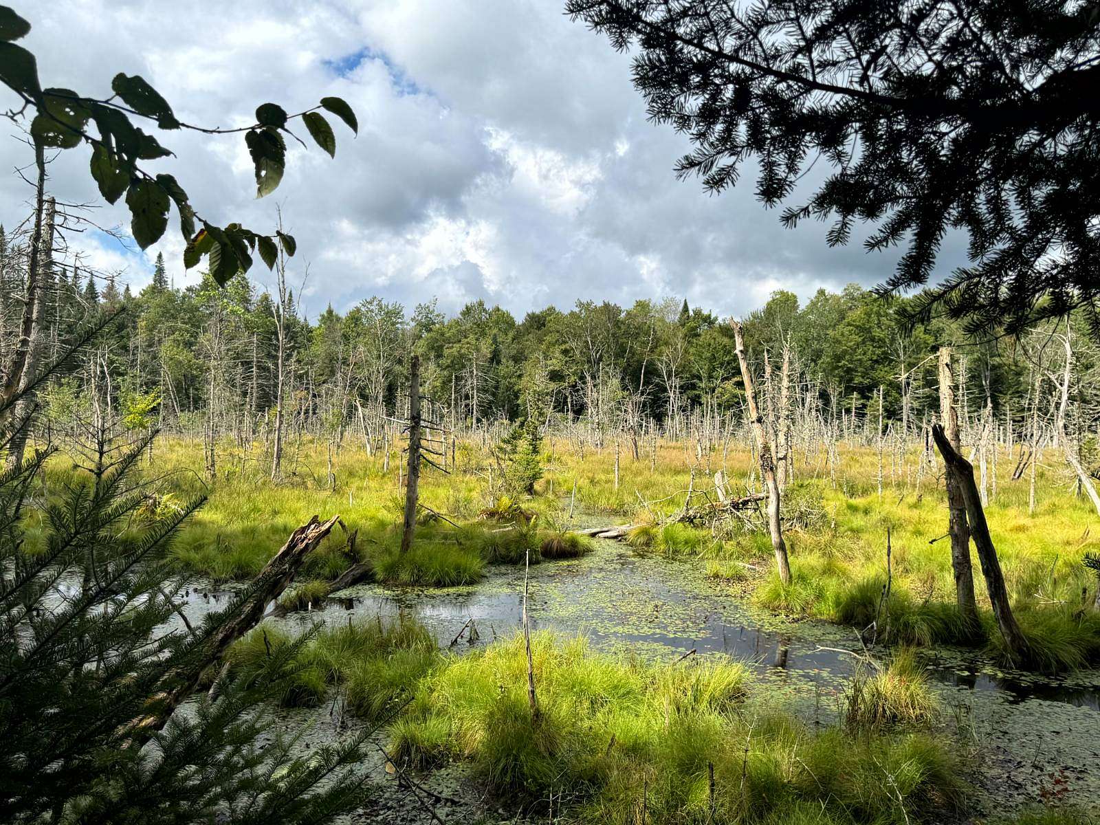 12 Acres of Land for Sale in Ohio, New York