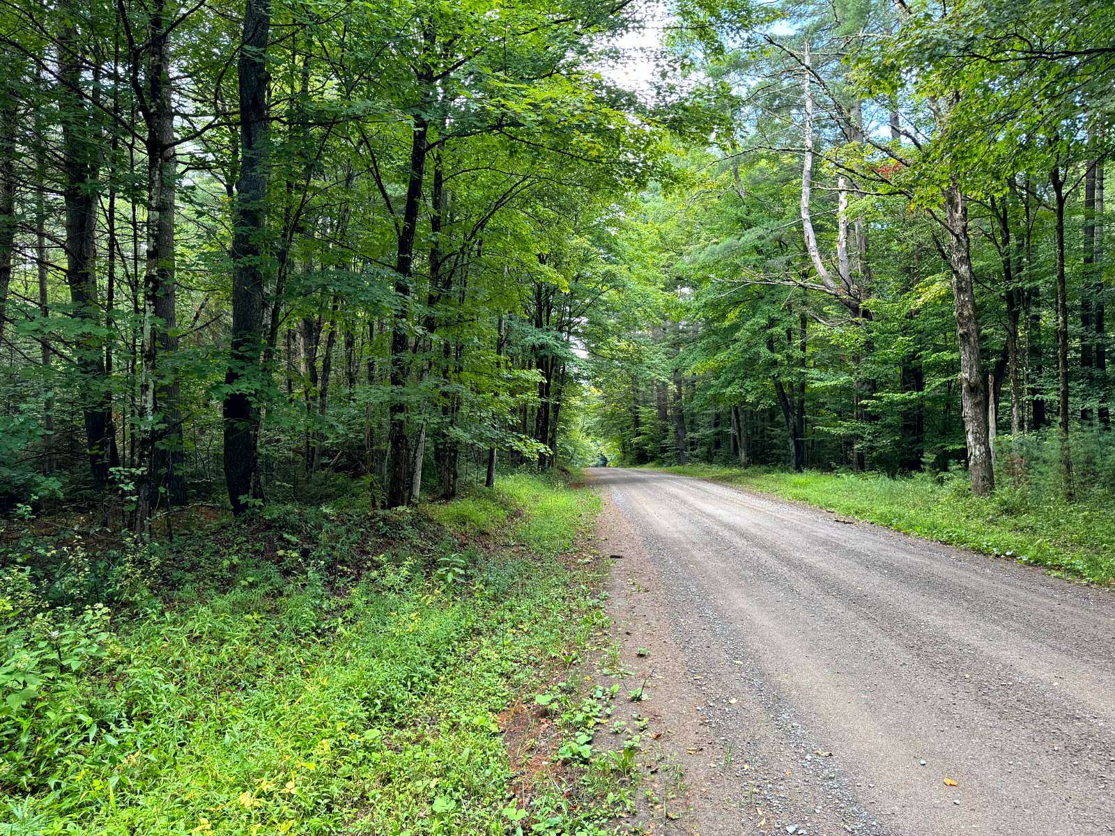 10 Acres of Recreational Land for Sale in Ohio, New York