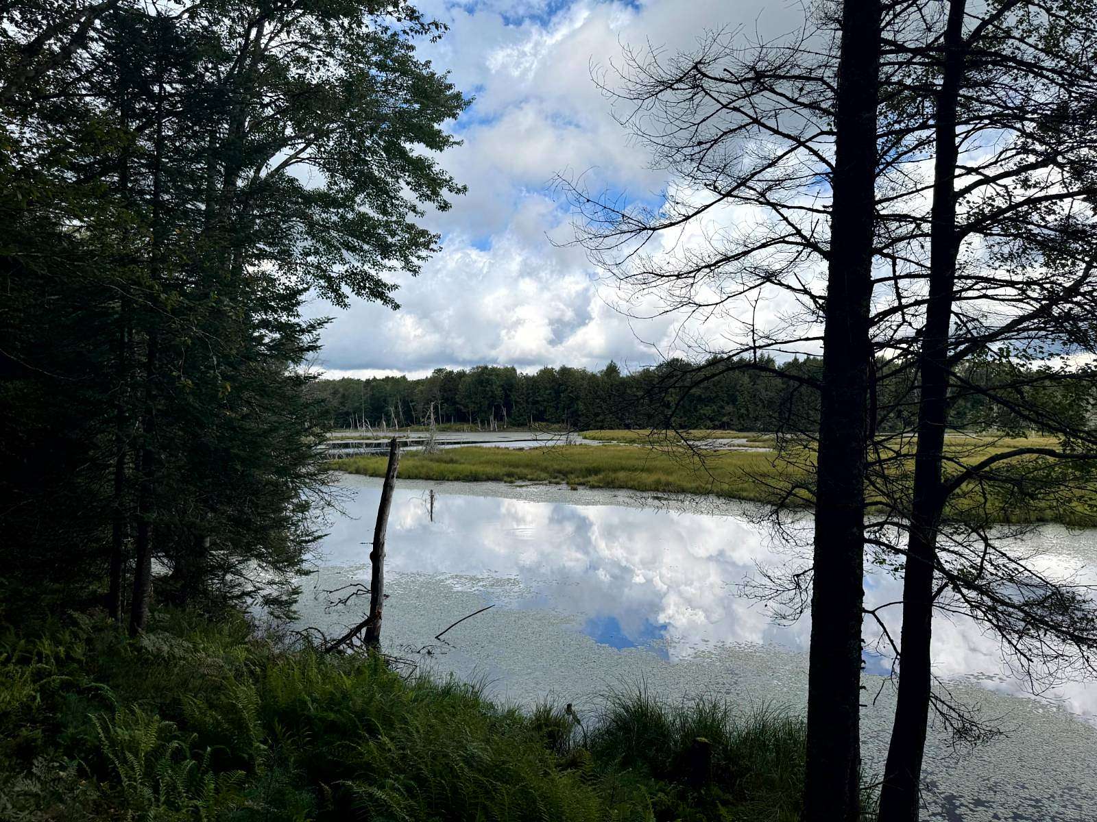 12 Acres of Recreational Land for Sale in Ohio, New York