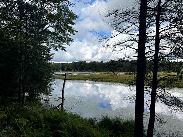 12 Acres of Recreational Land for Sale in Ohio, New York