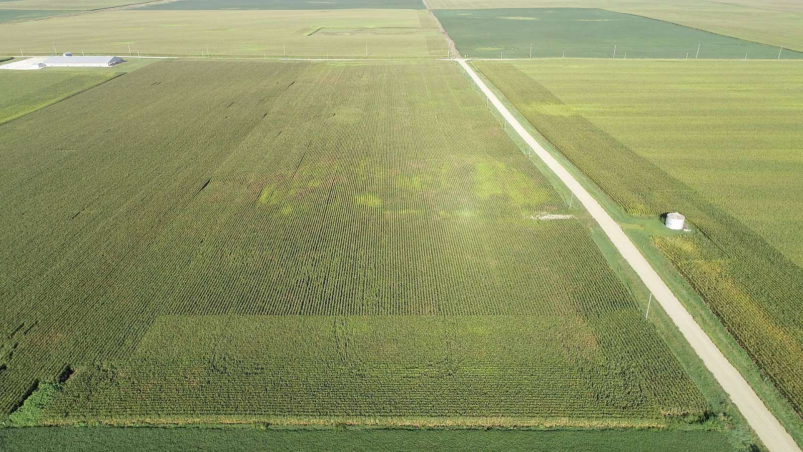 19 Acres of Agricultural Land for Sale in Lake City, Iowa