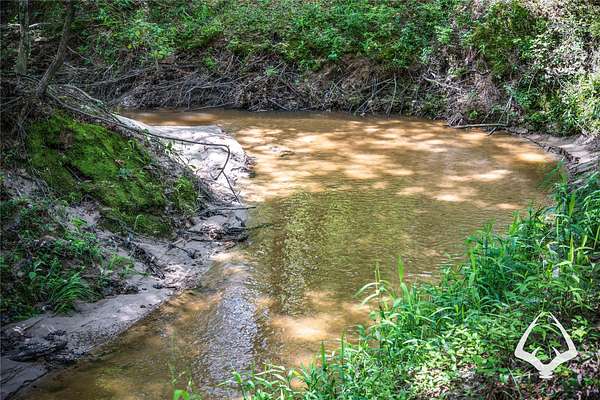 39.1 Acres of Recreational Land for Sale in Bronson, Texas