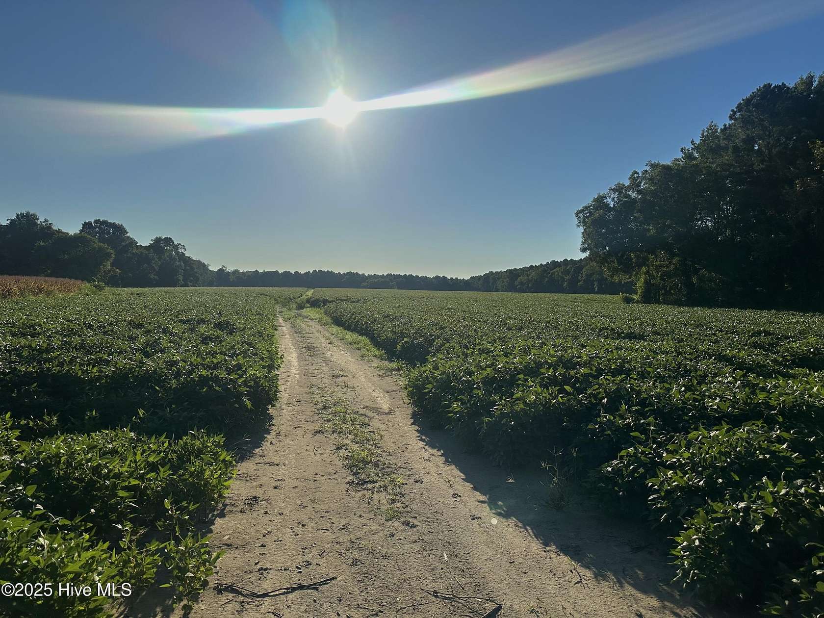 62 Acres of Recreational Land for Sale in Lucama, North Carolina