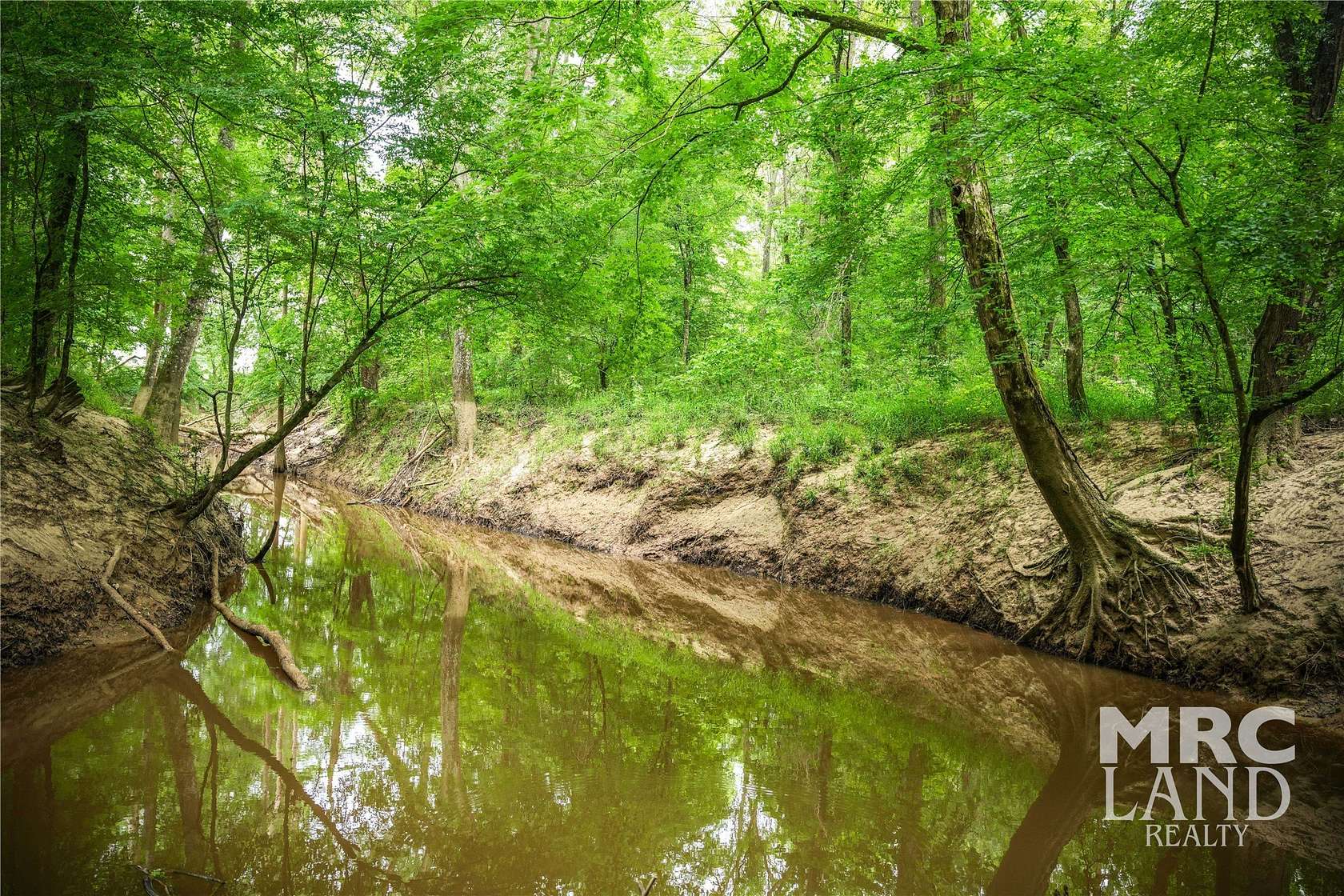 32 Acres of Land for Sale in Hemphill, Texas